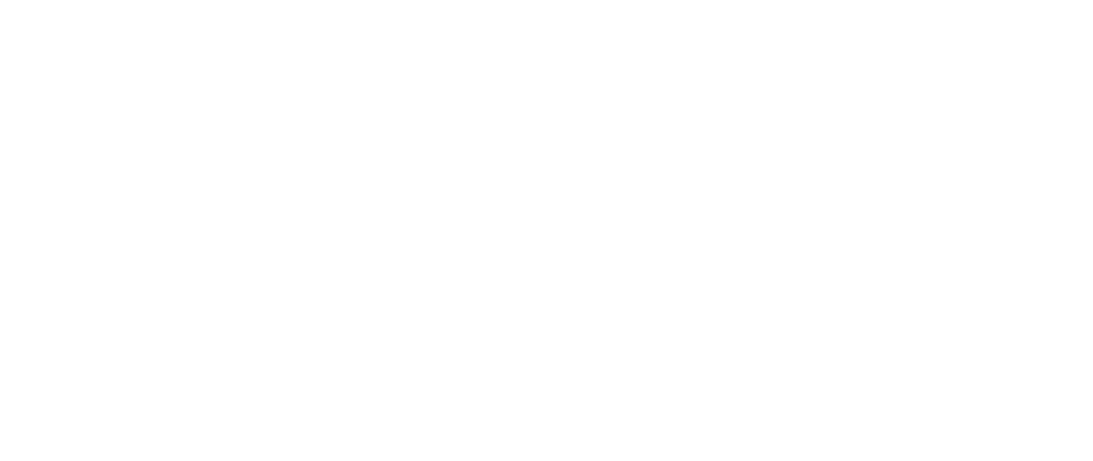2- WILPF