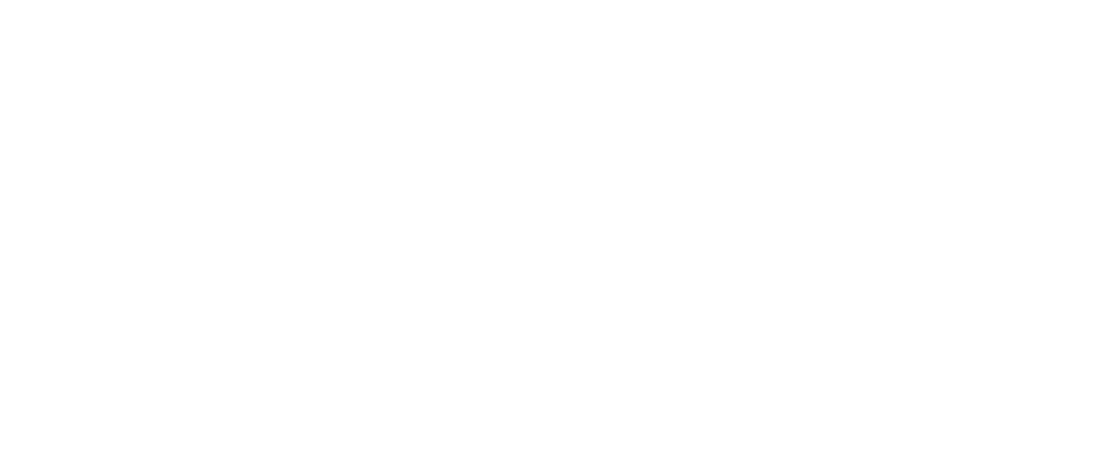 3- UNDP